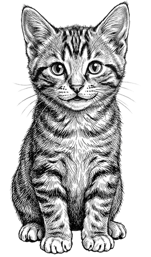Healthy Kitten Package Mascot