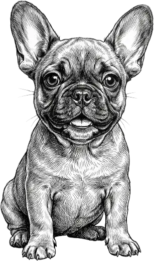 Healthy Puppy Package Mascot