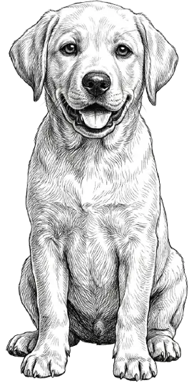 Healthy Puppy Package Mascot