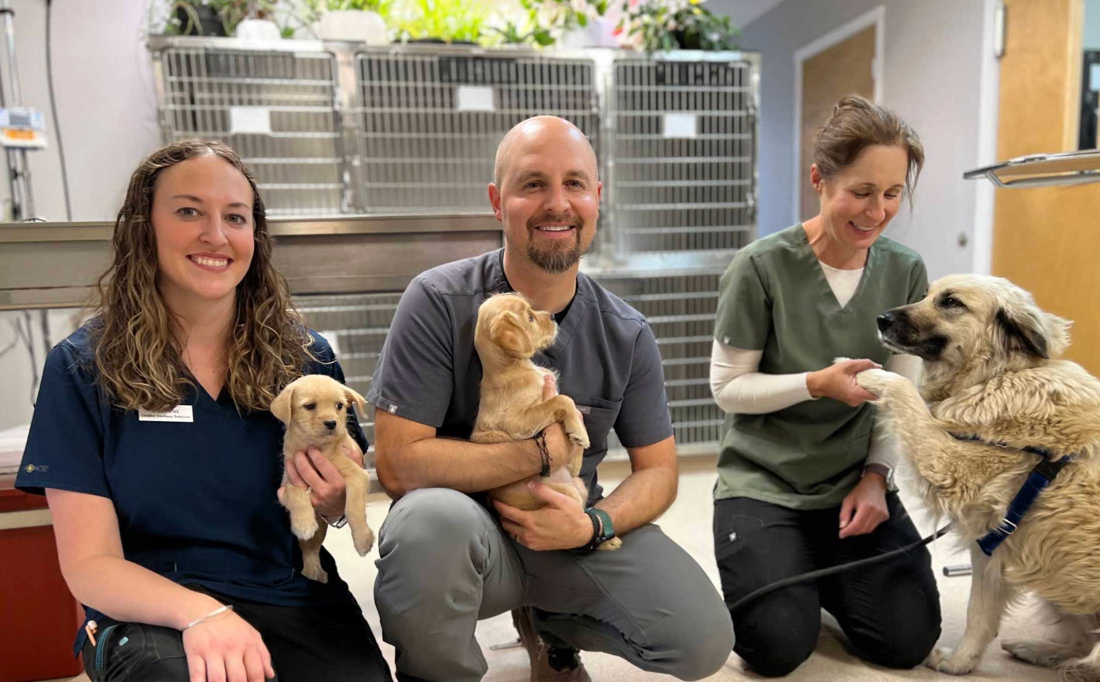 Bend Veterinary Careers