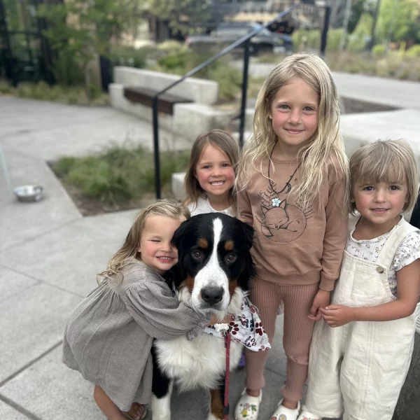 Back to School, Bend-Style: Helping Your Pets Through the Fall Shuffle
