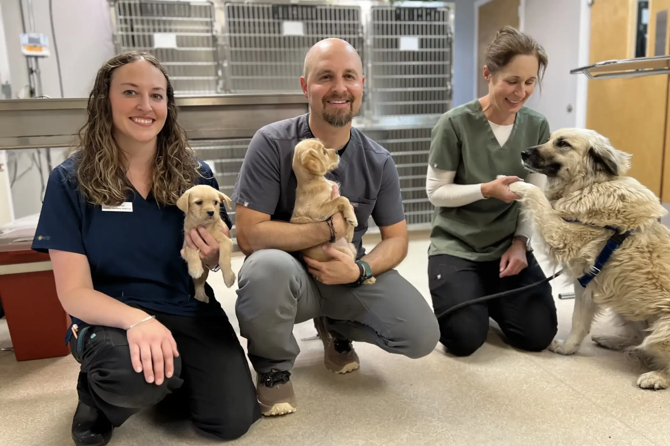 Fall Pet Checkup Time