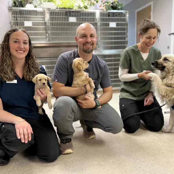 August Is Prime Time for Your Pet’s Wellness Exam in Bend, Oregon