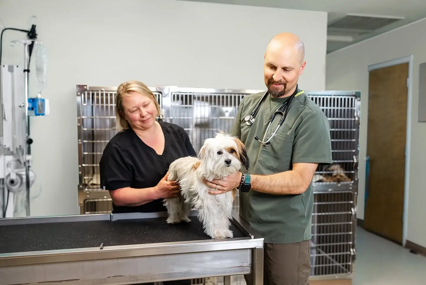 Every Pet Owner Needs a Veterinarian