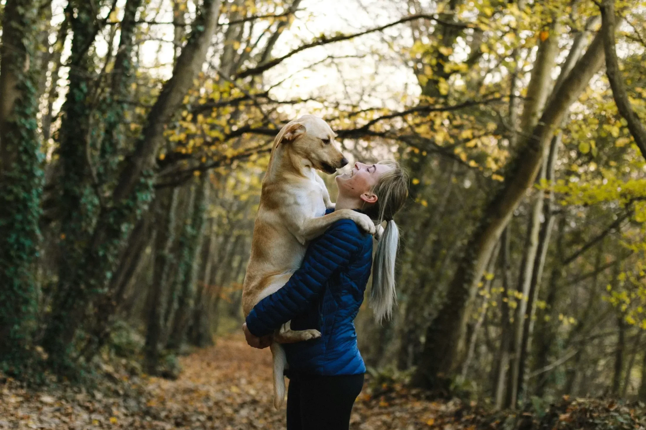 Fall Hiking with Pets