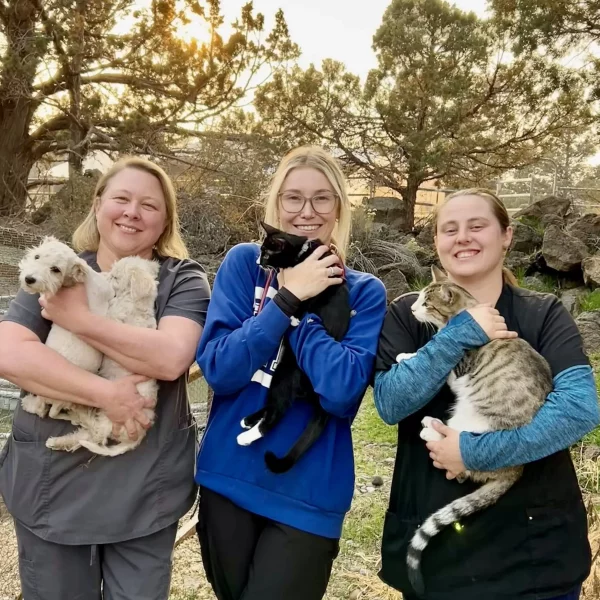 Meet HDV’s Veterinary Technician Team