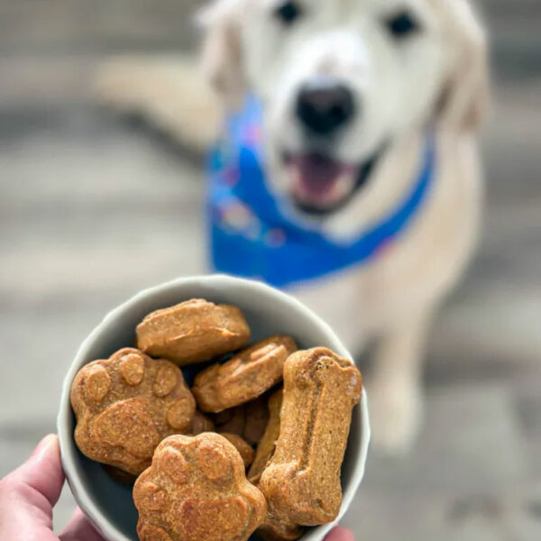 Healthy Homemade Dog Treats: 4 Easy Recipes Your Dog Will Love