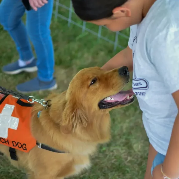 Be Prepared: National Pet First Aid Awareness Month