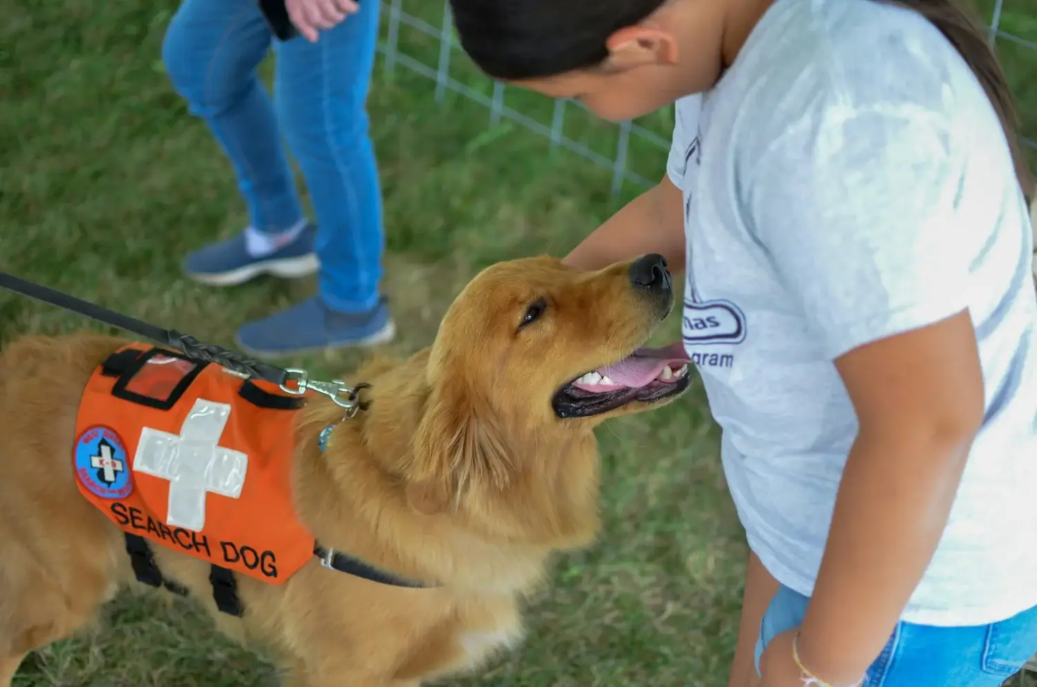 Pet First Aid