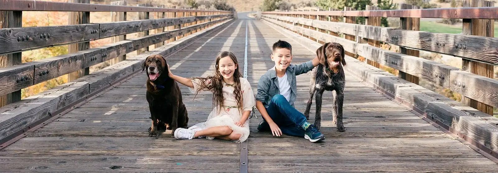 Pet Photo Tips